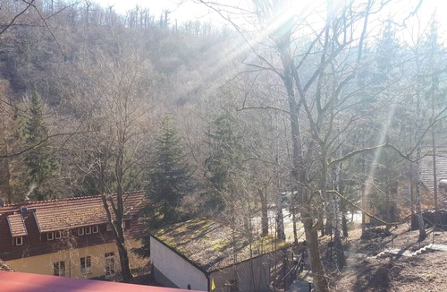 Alexisbad House | Habichtstein forest houses