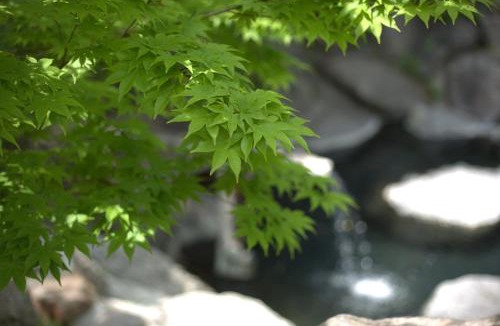 Oze Nationak Park Hotel | Hacho no Yu