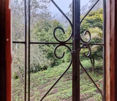 El Capuli Cabin | Hacienda El Castillo Hotel Boutique