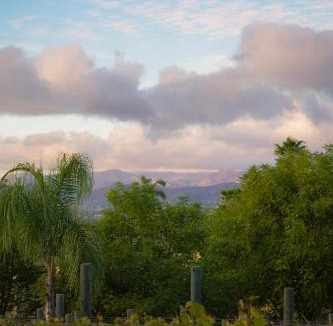 Valle de Guadalupe Bed & Breakfast | Hacienda Martlot
