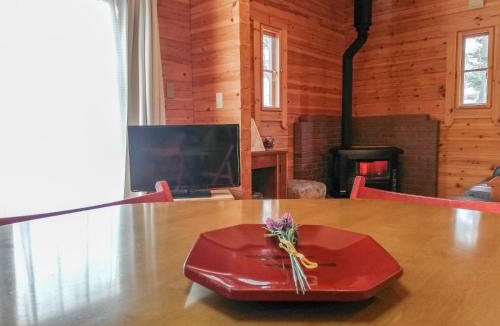 Echo Land Apartment | Hakuba Powder Cottage Deep