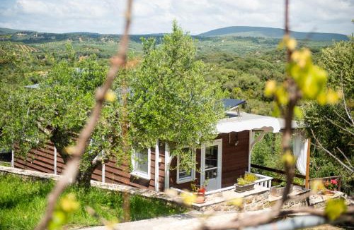 Pylos-Nestoras Cabin | Hakuna Matata Holidays wooden lodge with airco & pool in Greek Olive Grove