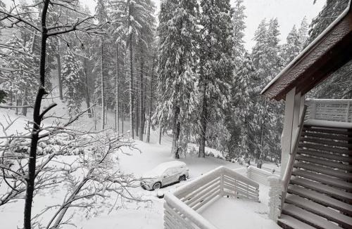Yosemite West House | Half Dome Haven - Cozy Yosemite West Studio