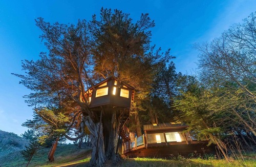 Half Moon Bay Cabin | Half Moon Bay Glamping Getaway in an Idyllic Tree House and Cabin