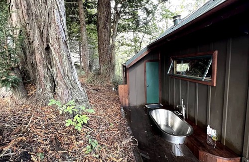Half Moon Bay Cabin | Half Moon Bay Glamping Getaway in an Idyllic Tree House and Cabin