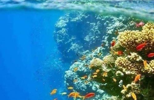 St. Catherine Apartment | Half Moon - Sunny Dahab resort