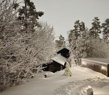 Slemdal House | Hallingstua