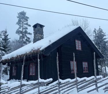 Slemdal House | Hallingstua