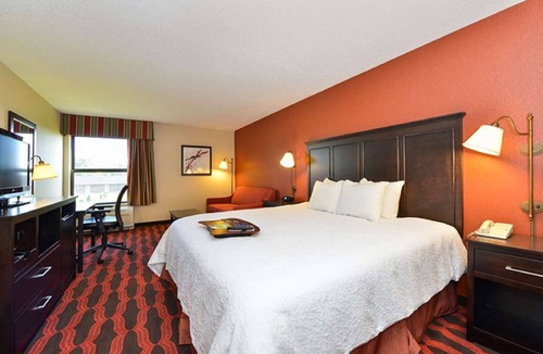 Mongo Hotel | Hampton Inn Sturgis-Lagrange Area