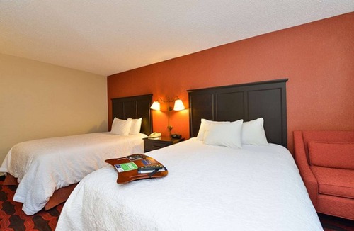Mongo Hotel | Hampton Inn Sturgis-Lagrange Area