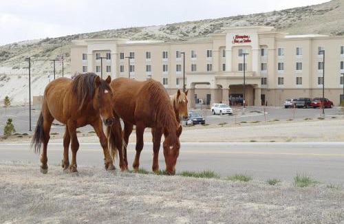 Green River Hotel | Hampton Inn & Suites Green River