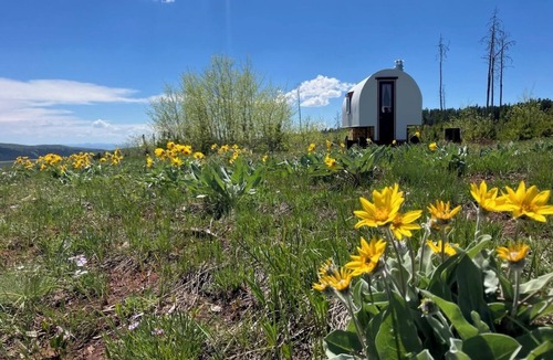 Casper Mountain House | Hand-Crafted Sheep Wagon ~ Luxuriously Rustic ~ Private Meadow Site