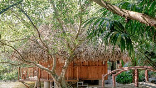 Hoa Lu Cabin | Hang Lan Ecolodge
