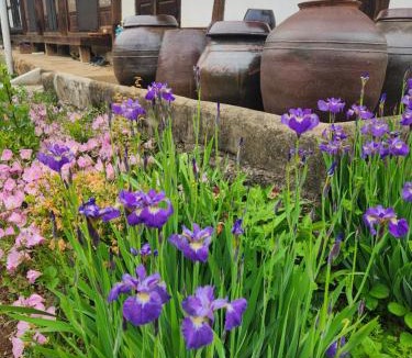 Toero House | Hanok Soeun House