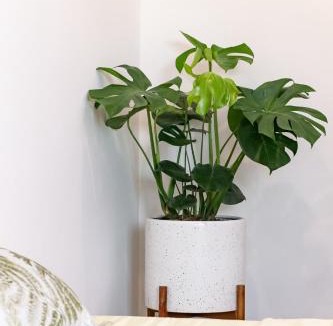 Ngo Quyen Apartment | Hapi Home