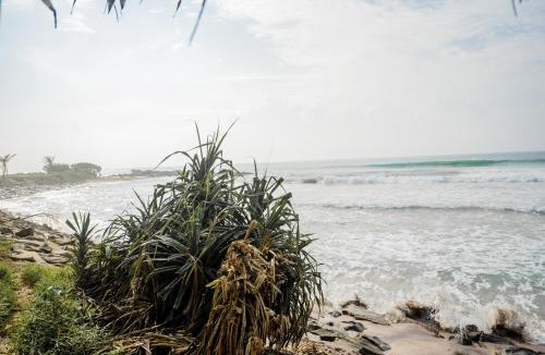 Dickwella Hostel | Happy Coco Hostel