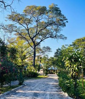 Katima Mulilo Bed & Breakfast | Happy Forest B&B