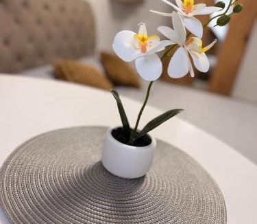Craiova Apartment | Happy Studio 1