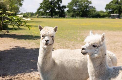 Emsworth House | Harbour Ranch Hut - Rustic Countryside Escape