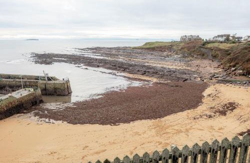 Crail Apartment | Harbour View Apartment - Crail
