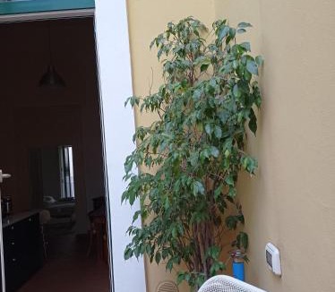 Rione Duomo Apartment | Haripergo Apartments a bridge for amalfi coast