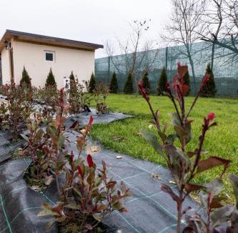 Orastie House | harmony care