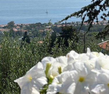 Mytilene Villa | Harmony