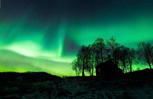 Harstad Apartment | Harstad, all seasons