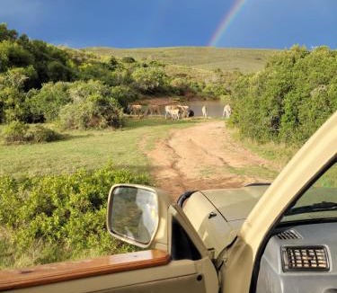 Brandwag Cabin | Hartenbos Private Game Lodge