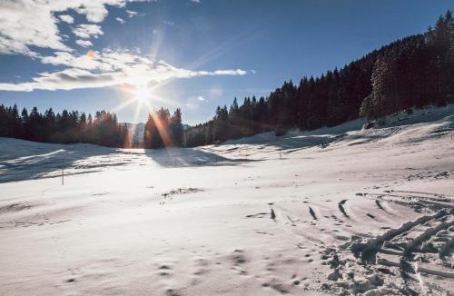 Spitzingsee House | Hasenalm