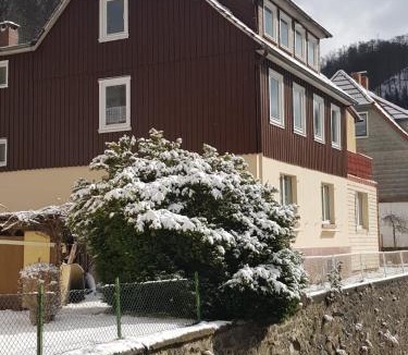 Walkenried House | Haus am Fluss mit wunderschöner Dachterrasse mit Flussblick ,Garten und Grill