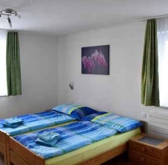 Saas-Fee Apartment | Haus Amasaas