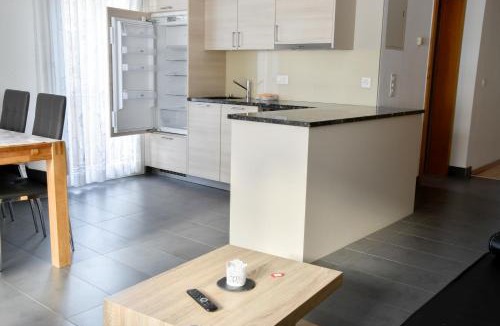 Saas-Fee Apartment | Haus Amasaas