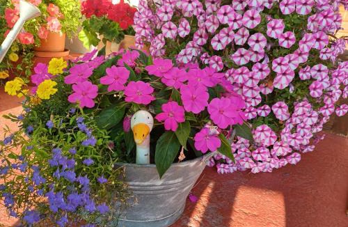 Soell Bed & Breakfast | Haus Barbara