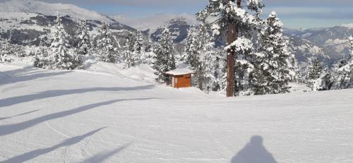 Mayrhofen House | Haus Bergfriede