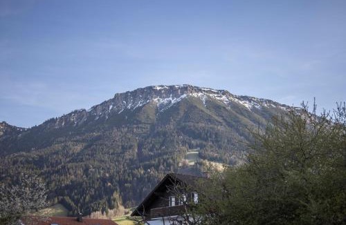 Heitlern Apartment | Haus Bergliebe