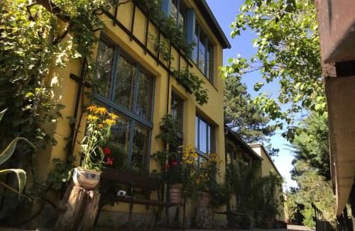 Hinterjessen House | Haus Friedland