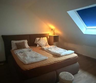 Dillingen Apartment | Haus in Pachten