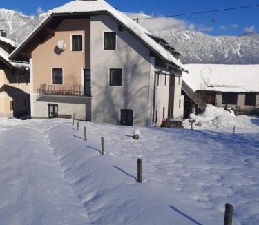 Hermagor-Pressegger See Apartment | Haus Nampolach