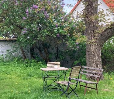 Neustrelitz Apartment | Haus Prälank