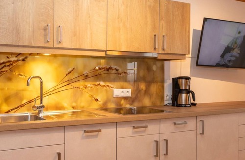Ramsau am Dachstein Apartment | Haus Silberdistel - Apartment 3 bedrooms
