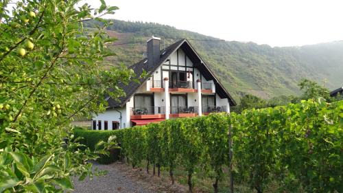 Ernst Apartment | Haus Weingarten FERIENWOHNUNGEN