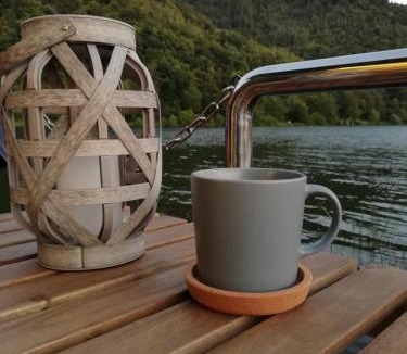 Polich Boat Rental | Hausboot auf der Mosel