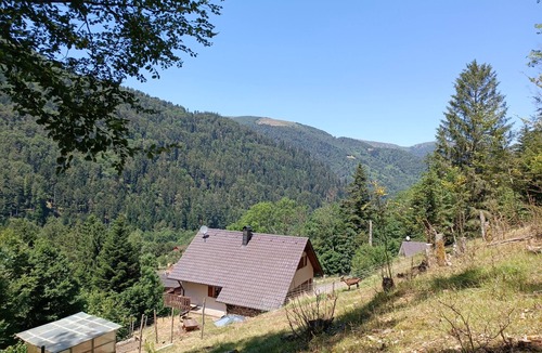 Mittlach House | Haut-mittlach
