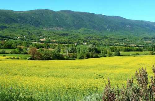 Cereste Cottage | Haute-Provence, charming gîte at the foot of the Grand Luberon