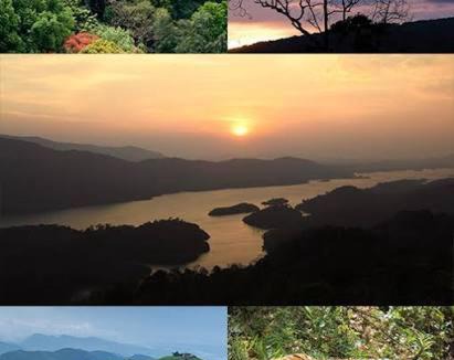 Nedumangad Villa | Haven roots