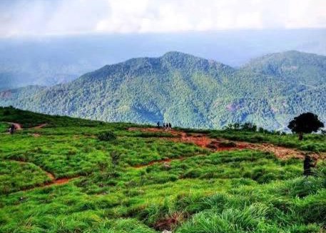 Nedumangad Villa | Haven roots