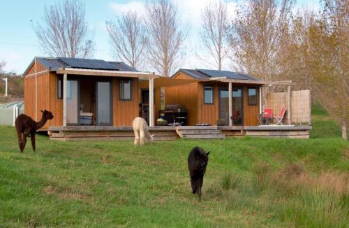 Kaiwaka Other | HavenRidge Alpaca Glamping Cabins