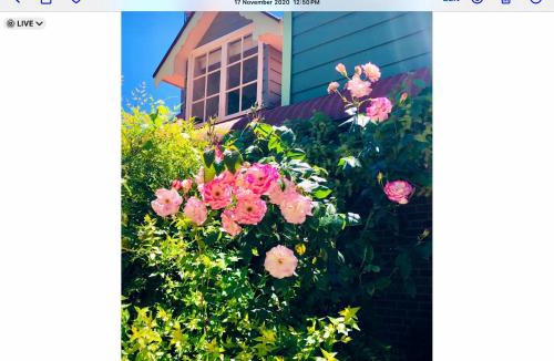 Mount Rankin Bed & Breakfast | Hawk's Nest Bed & Breakfast