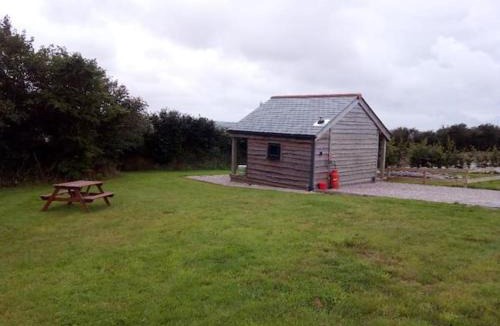 Wadebridge Other | Hawk's Nest